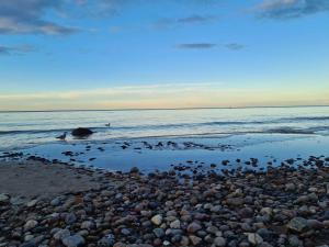 Kleiner Sommerweg Bungalow