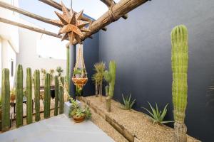 Outsite Los Cabos - Entire 4-Bedroom Home