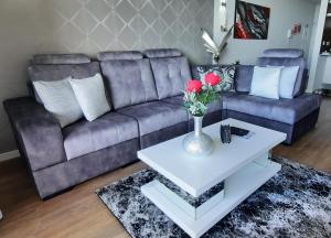 Madeira Mar - Seaview