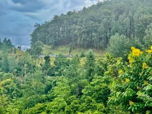 Angels View Cottage Ella