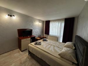 Bar & Guests room ELA