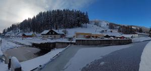 Pension 444 - Ski Resort Herlikovice and Bubakov