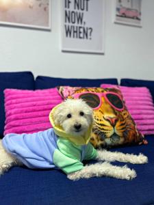 Piso pet friendly con vista al mar