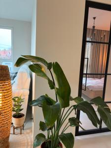 BlaBlaFlat Warszawa Aura Mokotów