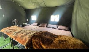 shiva camps site kedarnath