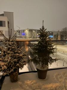 BlaBlaFlat Warszawa Aura Mokotów