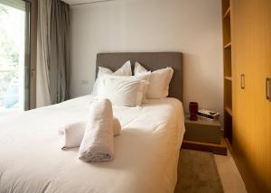 Chic apartment with terrace, Golden Triangle