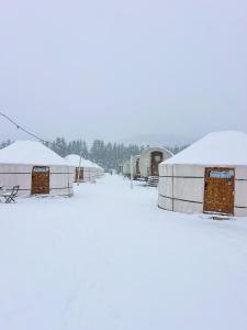 Glamping Iurte Mongole Spiritul Zimbrului