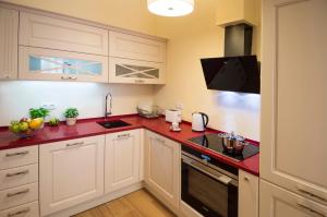 Apartment Za Poricskou branou