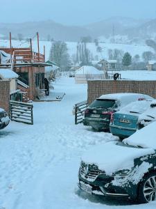 Glamping Iurte Mongole Spiritul Zimbrului