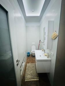 Modern apartment Elbasan