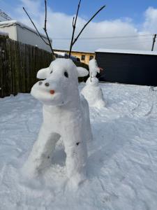 Prázdninový dům Mladé Buky