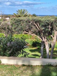 Chambre indépendante dans jardin calme avec vue mer Skhirat