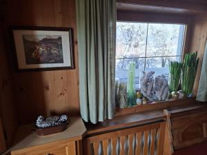 Ferienwohnungen Roko