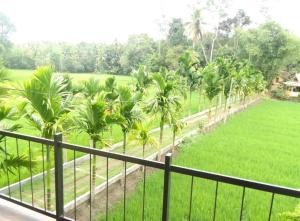 Pilgrims Nature Hostel