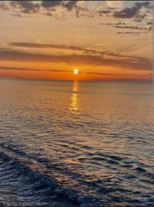 Appartement T2 avec terrasse