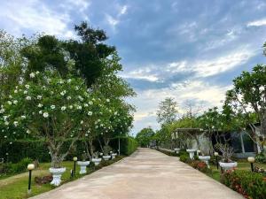 Banana Village Mae Taeng ChiangMai