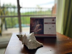 Buddothpado International Meditation Center