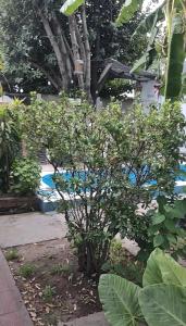 Posada Amanecer del Gaucho