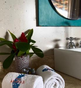 Hotel Boutique Ananas