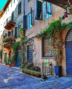 La Casetta nella Corte