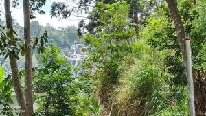 Happy Horizon Home Stay