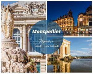 Rose des Sables VUE MER , Parking Privé , WiFi