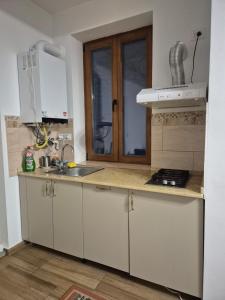 Charming Villa in the Heart of Bucharest