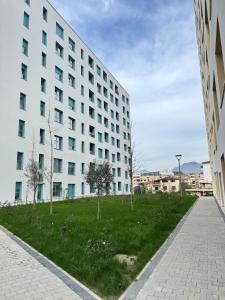 Urban Oasis East of Tirana