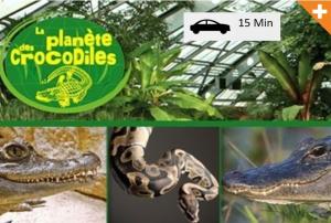 Superbe comfortable studio CHU et Université