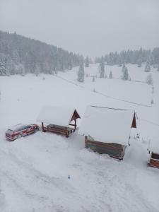 Pensiunea Poarta Lui Ionele