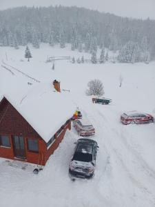 Pensiunea Poarta Lui Ionele