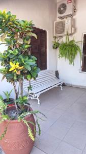 MONOAMBIENTE Flores del Cielo