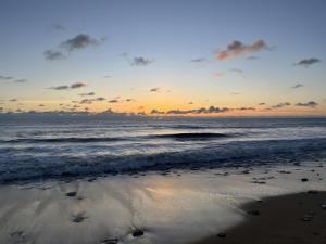 La petite maison avec palmier
