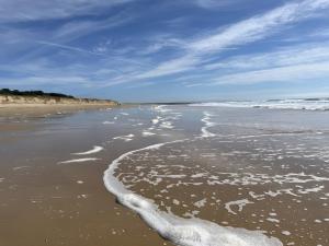 La petite maison avec palmier