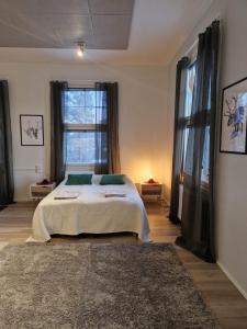 Arctic Silence Lankojärvi