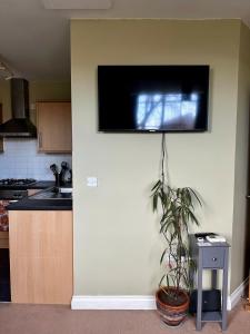 Superb Peaceful 1 bed apartment in St George.