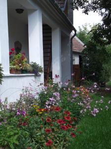 Égkőris Vendégház