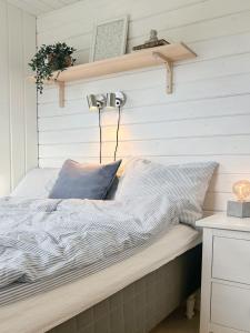 Tiny house in rural coastal environment