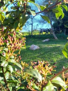 Casa Sierra de los Padres Gran parque y pileta