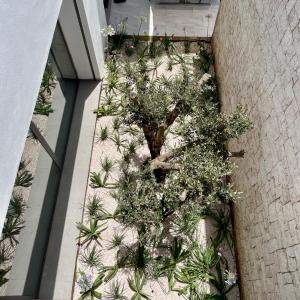 Villa de luxe avec personnel, piscine chauffée et services sur mesure à Essaouira