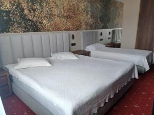 Casa Domnească Cacica