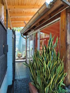 Posada las Morenas Por Día