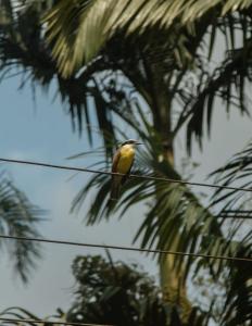Pousada Nonno Marquetti