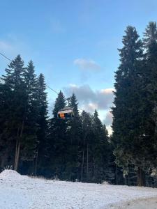 Biała Perła Residence Czarna Góra