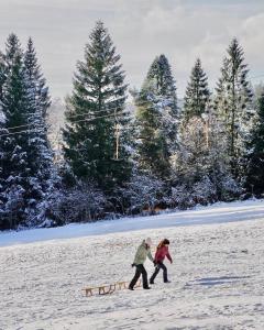 MARKT22 City Apartment Marktplatz Freudenstadt