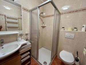 Dachsteinblick Haus im Ennstal - 5 min to Schladming - Sauna - Free Parking