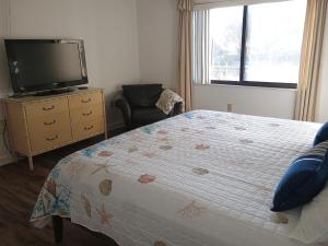 Coastal Beachfront Oasisi