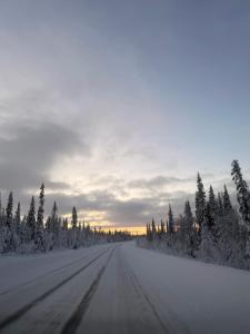 Honey Homestay - Skellefteå