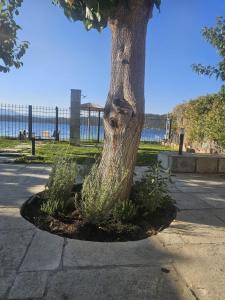 Bluevera sandy beachfront villa-Aidipsos bay